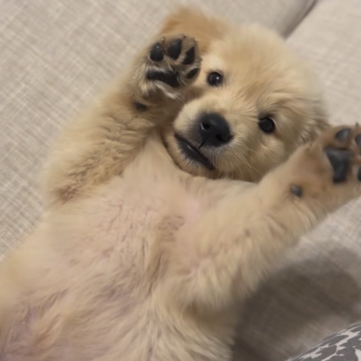 ให้หยุมพุงฟรีคับ แถมหอมด้วยก่ได้