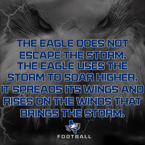 ⛈️ 🦅 ⛈️