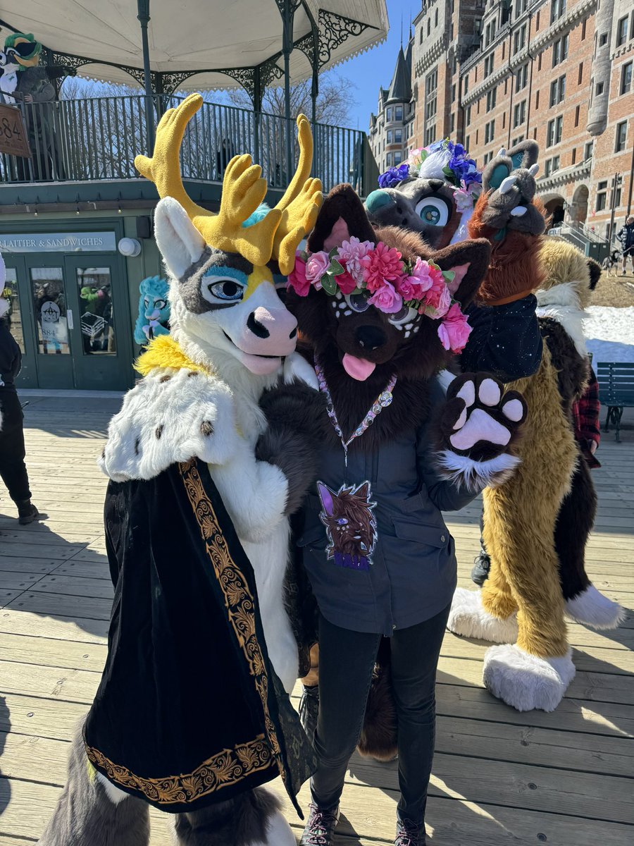 🌸Happy #FursuitFriday!🌺

Got this picture with a cute caribou (@ConradCaribou) during the Easter meet! 

(With an extra photobomb from @orionthefox) 

(I don’t remember who took the picture ;w;)