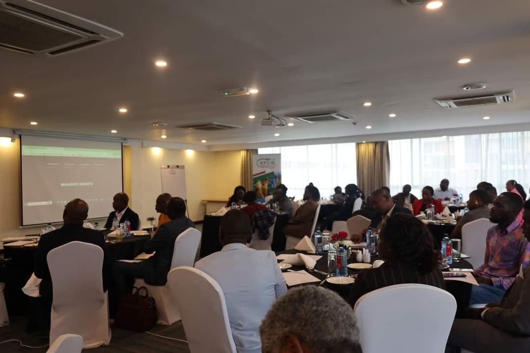 Earlier today,  i made a submission on the Impact of #Pactofthefuture on Africa, African Startups & the Youth, at The Civil Society Leaders Pre-Conference Consultations in Nairobi Kenya

 @UNDGC_CSO @UNYouthAffairs
#summit2024 #YouthLead #youthsummit2024 #ActNow #ourcommonfuture