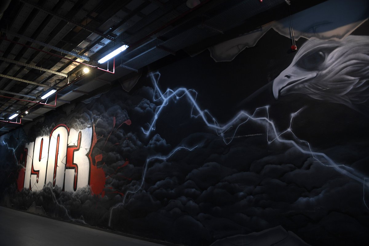 42 Numara 🦅 tweet media