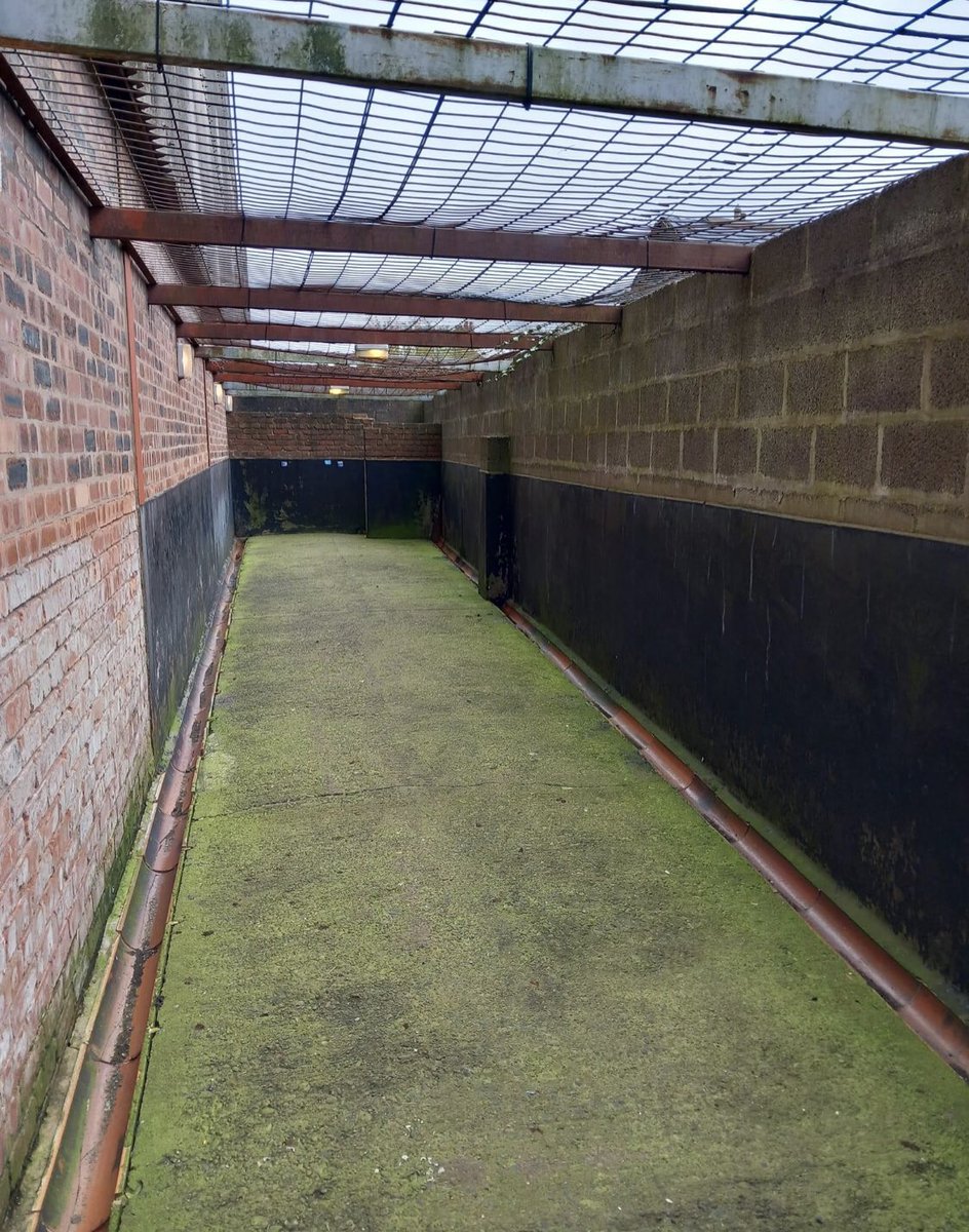 The_Forty_Four's tweet photo. The Carlisle away end toilets are a sight 😂 https://t.co/Qa2qo4tDFu