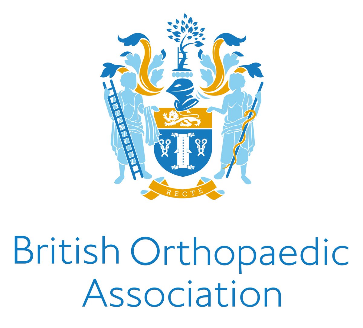 Excited to announce <a href="/RCSnews/">The Royal College of Surgeons of England</a> and <a href="/BritOrthopaedic/">BOA</a> and  are inviting applications for the post of Orthopaedic Surgical Specialty Lead (Adult Elective). Deadline is 6 June. More info &gt; rcseng.ac.uk/standards-and-…