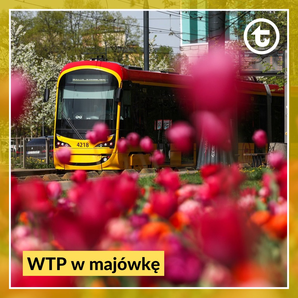 📆 Majówka to dla wielu czas odpoczynku. W środę i piątek będzie obowiązywał rozkład jazdy dnia świątecznego. W czwartek #bus, #tram i #metro podjadą na przystanki zgodnie z sobotnim rozkładem jazdy a na wielu liniach będą dodatkowe kursy. ℹ➡ wtp.waw.pl/newsy/2024/04/…