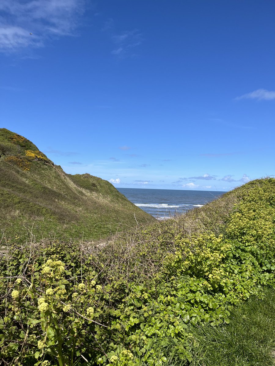 FocusInMind's tweet image. Between Whitby and Sandsend.