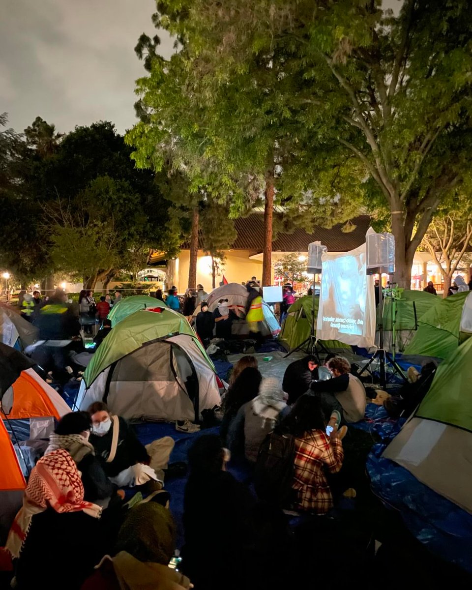 Students screened The Battle of Algiers at the Stanford encampment last night. 'You young people, full of vigor and vitality, are in the bloom of life, like the sun at eight or nine in the morning. Our hope is placed on you. The world belongs to you'