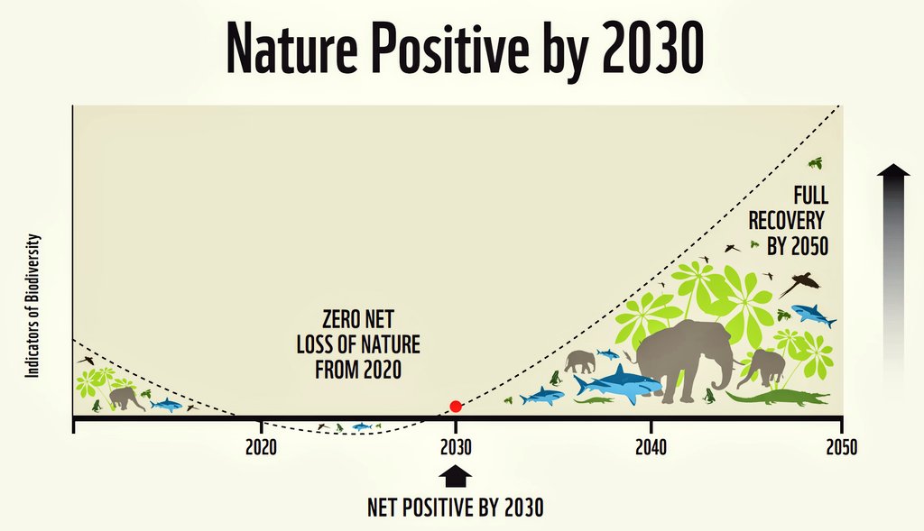 📈 We must ‘bend the curve’ by 2030, putting #nature’s destruction in reverse—at home and abroad—as we pledged to do at #COP15.

➕ That’s what #naturepositive means. 

🐝 That’s how we’ll grow a #naturerich world.

🌍 #ForNature. People. And climate. 

📖 zerohour.uk/creating-a-nat…