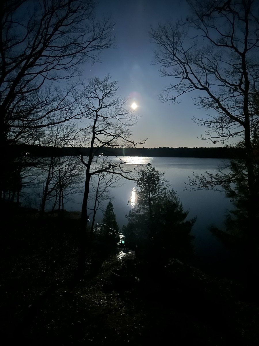 Moonlight on #DickieLake in #Baysville Ontario Canada 🇨🇦