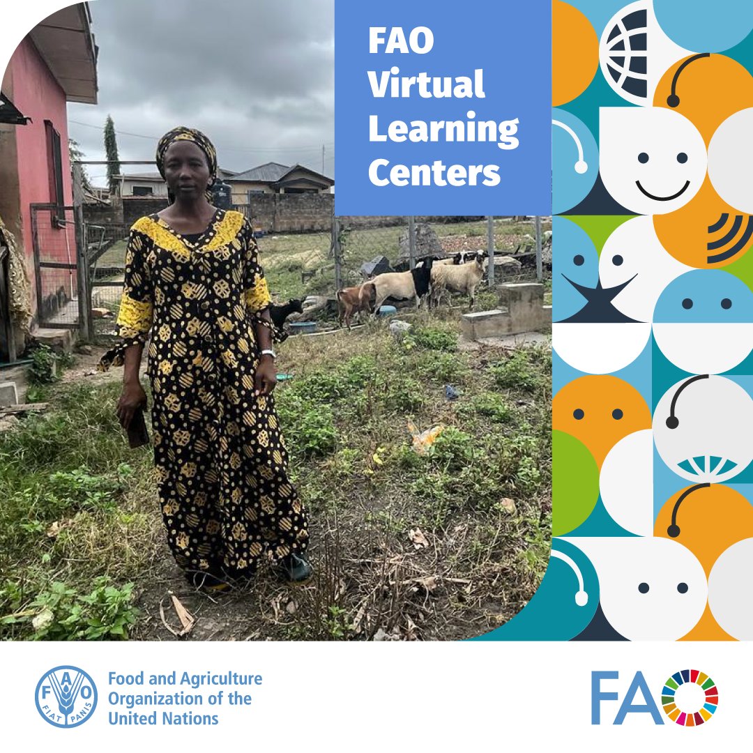 🎙️ @FAO Virtual Learning Centers voices 🗣️ Nafinatu Abdullahi Veterinary Paraprofessional Training Specialist at @FAONigeria, on empowering women farmers and female leadership in #OneHealth initiatives. 👉bit.ly/3W9WAyt