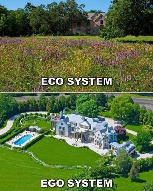 It's tragic when (relatively) poor people become (relatively) rich (relatively) quickly. These super-hedonists are often the worst environment hooligans because they prioritise consumption and showing off above all else. (And their taste is often tacky) #ecosystemcollapse