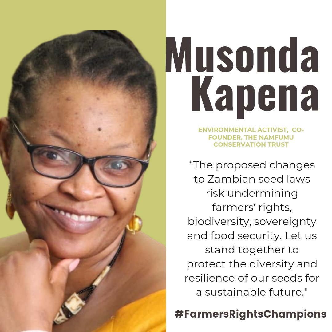 🌳 @MusondaKapena, co-founder of @NamfumuTrust is passionate about indigenous knowledge systems in forest conservation and agriculture. #FarmersRightsChampions #SeedIsLife zambianagroecology.org/advancing-agri…