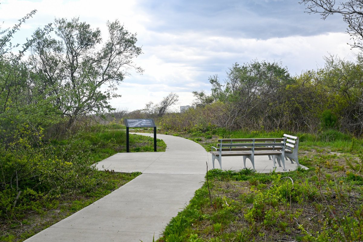 From vacant land to vibrant community spaces, Arverne East is a testament to what we can achieve when we prioritize sustainable design. Here's to a greener, more equitable future for our Rockaway community! 🌿 📸: @NYCParks / Daniel Avila