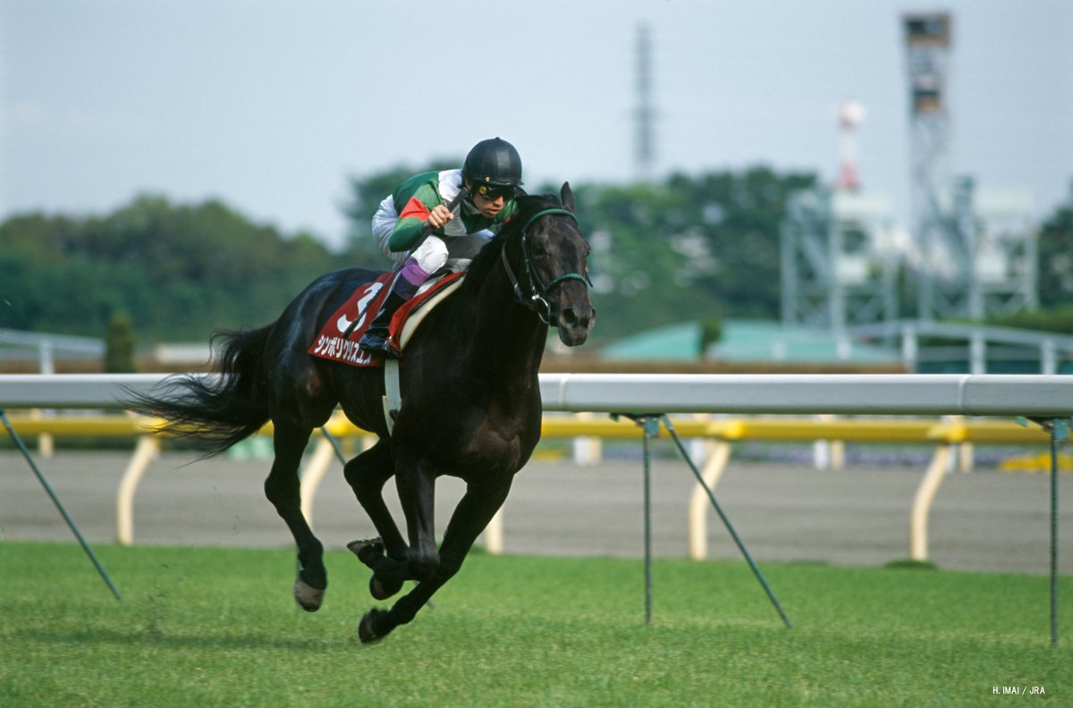 【期限切れ単勝馬券】第9回テレビ東京杯青葉賞　シンボリクリスエス　ウマ娘 ダービー挑戦、そして3歳秋 には天皇賞（秋）に挑戦 | シンボリ