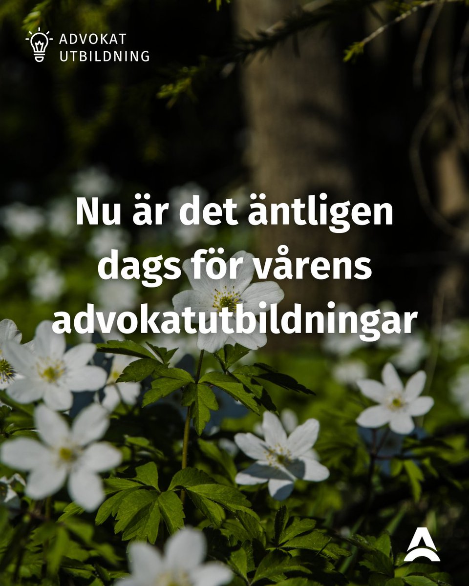 asylrattcentrum's tweet photo. 🎓Nu släpps datumen för vårens advokatutbildningar!

🔹17 maj :Synnerligen ömmande omständigheter i ljuset av barnets bästa

🔹31 maj: Återkallelse och upphörande

🔹4 juni: Härledd uppehållsrätt och överklagbarhet av EU-rättsliga beslut

Säkra din plats: https://t.co/1TBluyMQW6 https://t.co/Rms3wyuh7U