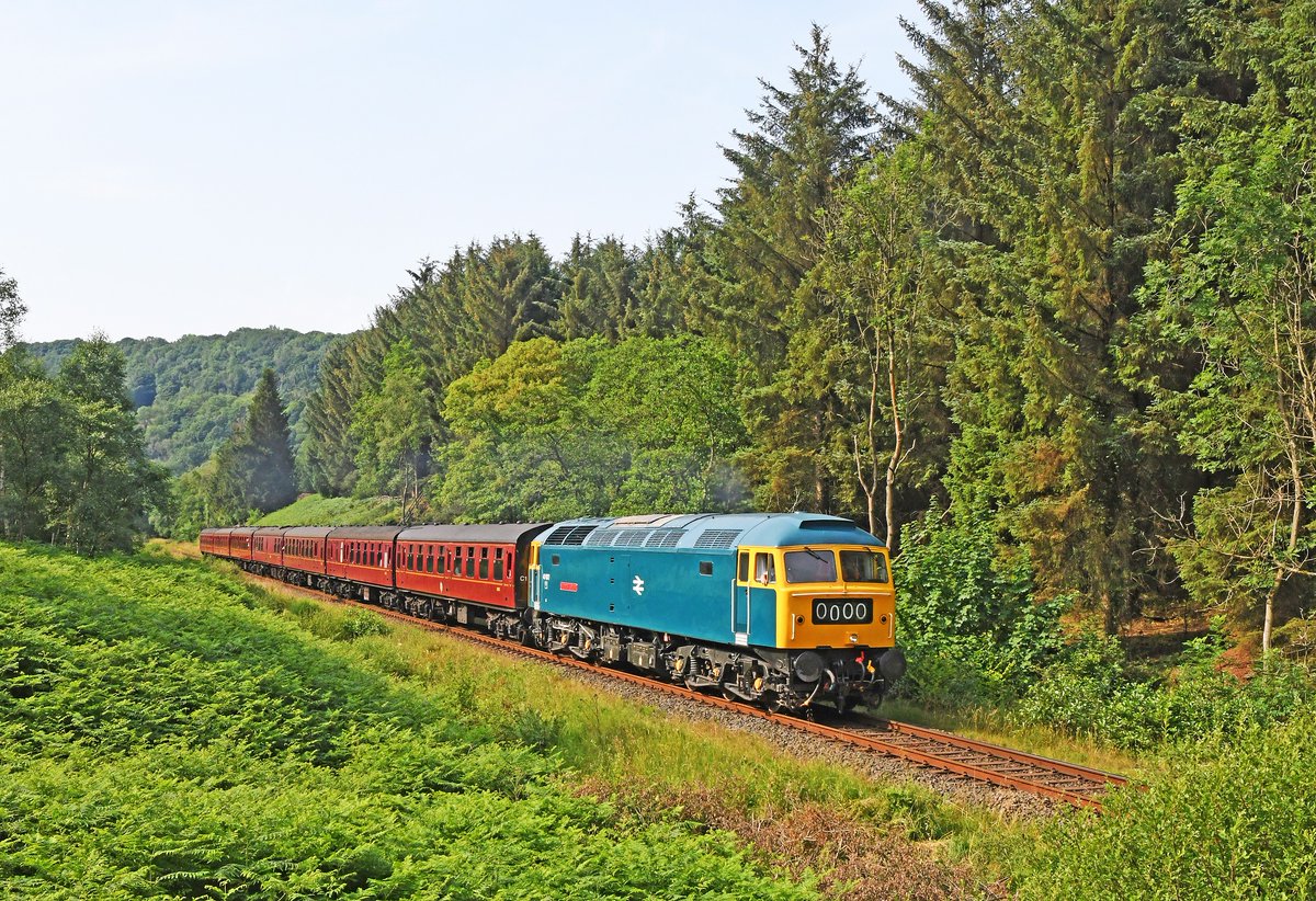 Did you see our exciting announcement earlier this month that the Diesel Gala is BACK for 2024! 🎉 📅 14 - 16 June We're thrilled to have the NYMR home fleet of diesel locomotives and we'll be announcing some exciting visiting locomotives. nymr.co.uk/diesel-gala