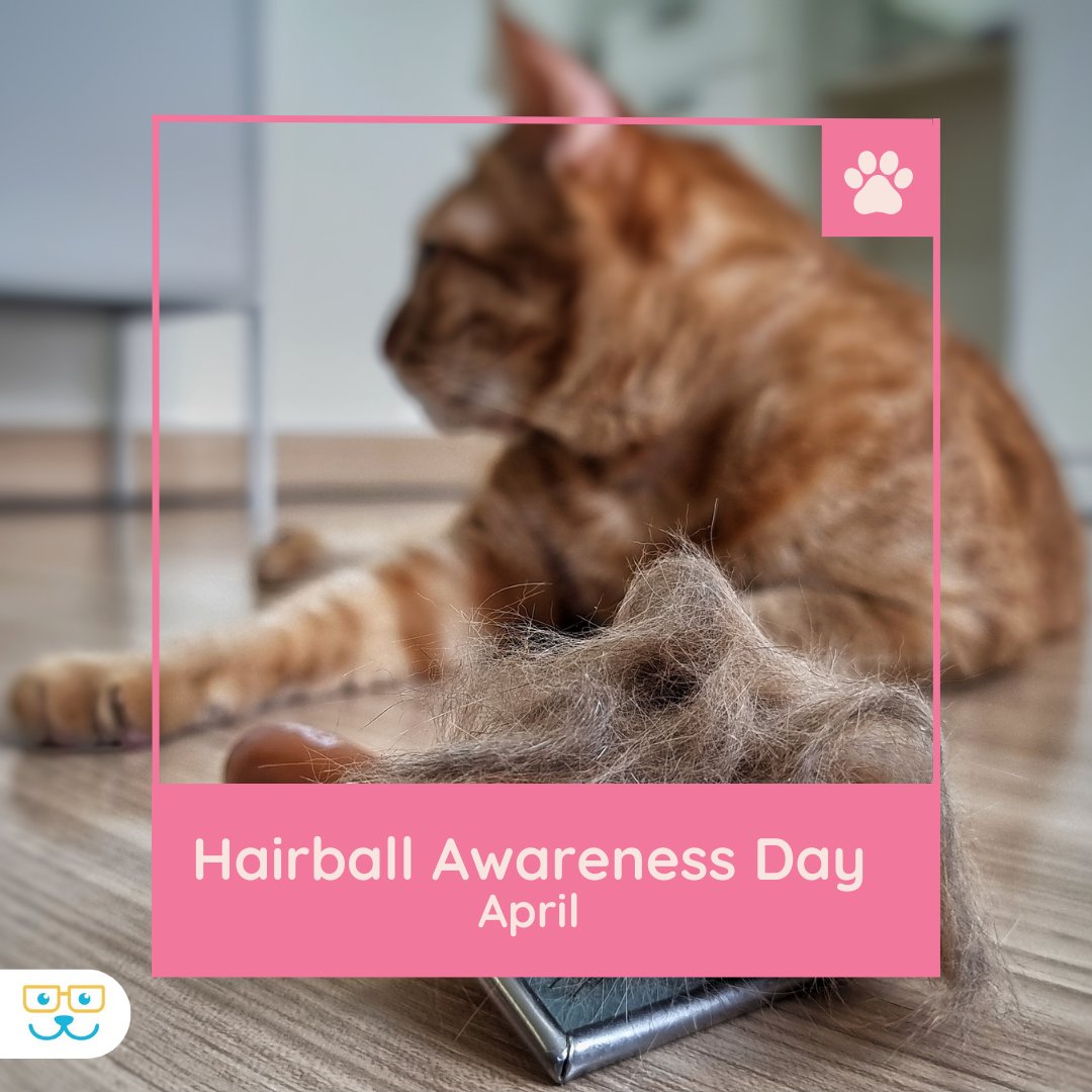 Today is Hairball Awareness Day! Did you know hairballs are more than just a nuisance? They can cause serious health issues in cats. Keep your feline friend healthy with regular grooming and a balanced diet. #vieravet #HairballAwareness #CatHealth