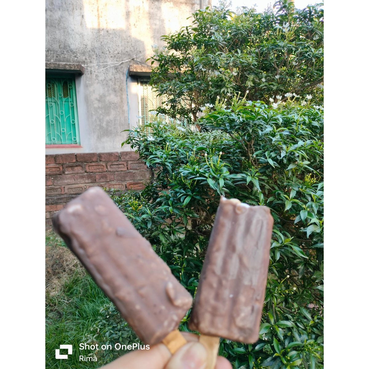 “I scream, you scream, we all scream for a ice-cream!”🍦🥵🪭
.
.
.
.
.
#summer #summertime #summervibes #summerday #summerdays #summerfun #summerfood #summerlovers #summericecream #icecream #icecreamlover #icecreamtime #chocobar #icecreamlove #featured #fyp