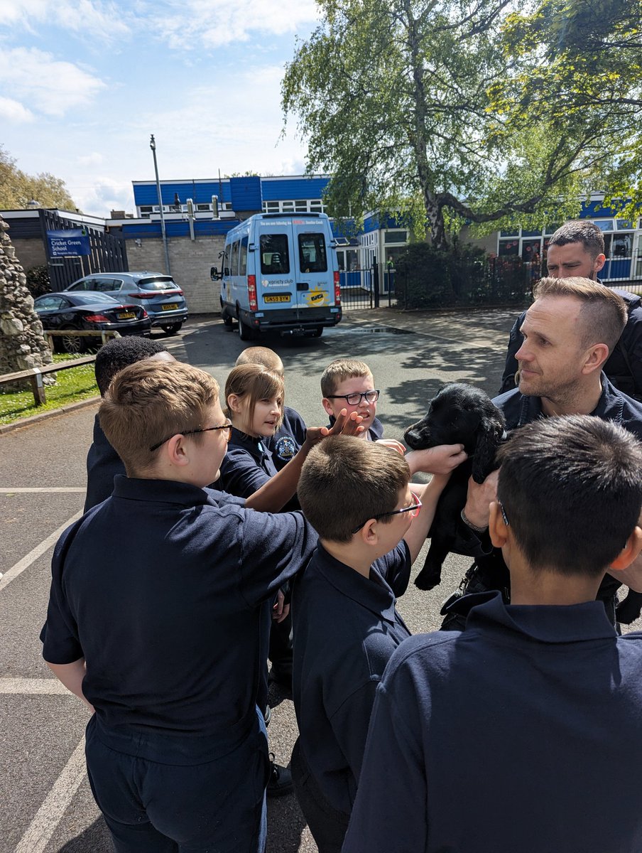 Merton VPC tweet media