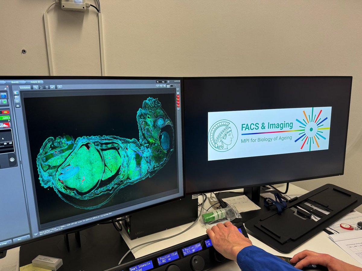 MPI AGE FACS&Imaging tweet media