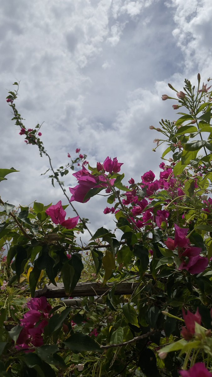 اللهم في يوم الجمعة فرحًا يقر العين و يجبرُ القلبّ