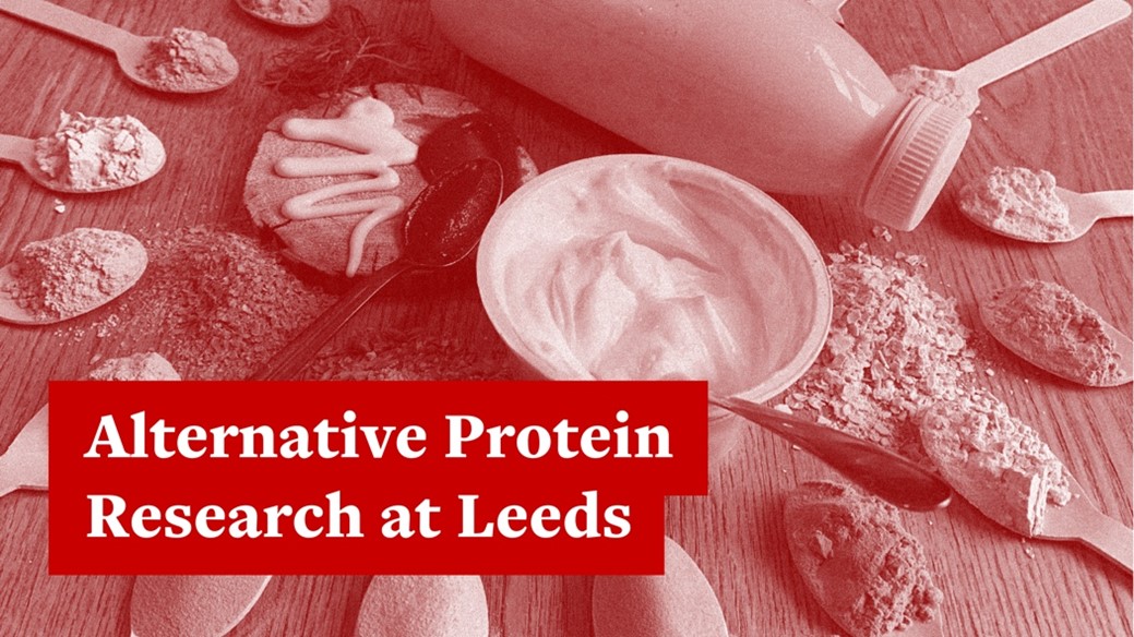 Plant protein products face challenges compared to animal proteins. Can we enhance their properties without additives?

Microgelation research from @UniversityLeeds explores solutions. #alternativeproteins

Learn more:
spotlight.leeds.ac.uk/alternative-pr…