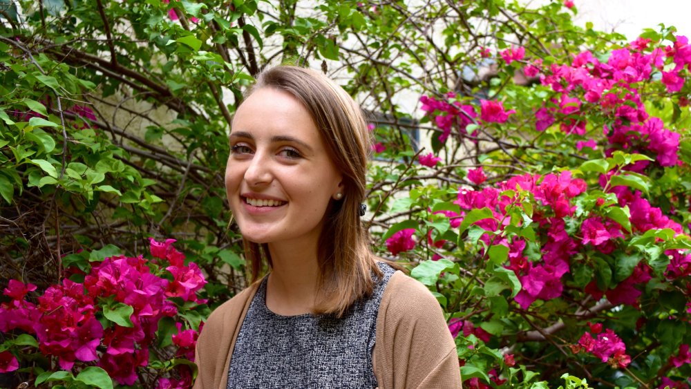 Académie du Vin Library tweet media