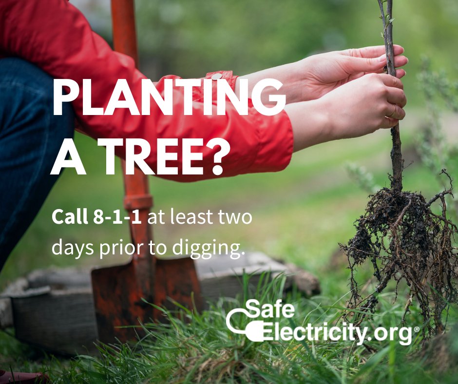 Before deciding where that tree should go, call 8-1-1 or visit ow.ly/83mi50R5GXl: ow.ly/kWP750R5GXm  #SafeElectricity #CallBeforeYouDig #PublicPower #PoweringABrighterFuture