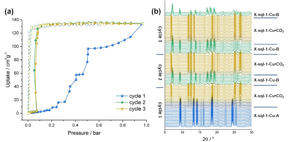 @zgroupUL 💕sql nets (X-sql-1-Cu) + 💕flexibility + 💕polymorphism, all of which reported in our latest paper in <a href="/ACS_AMI/">ACS Applied Materials & Interfaces</a>:  pubs.acs.org/doi/10.1021/ac…
In this case, polymorphism was found to impact Pgo

Many congrats to 1st author <a href="/sbnbkv/">Aizhamal Subanbekova</a> + collaborators <a href="/MACATAMO_Group/">Materials & Catalysis Modelling Group</a>, <a href="/kaskel/">StefanKaskel</a>