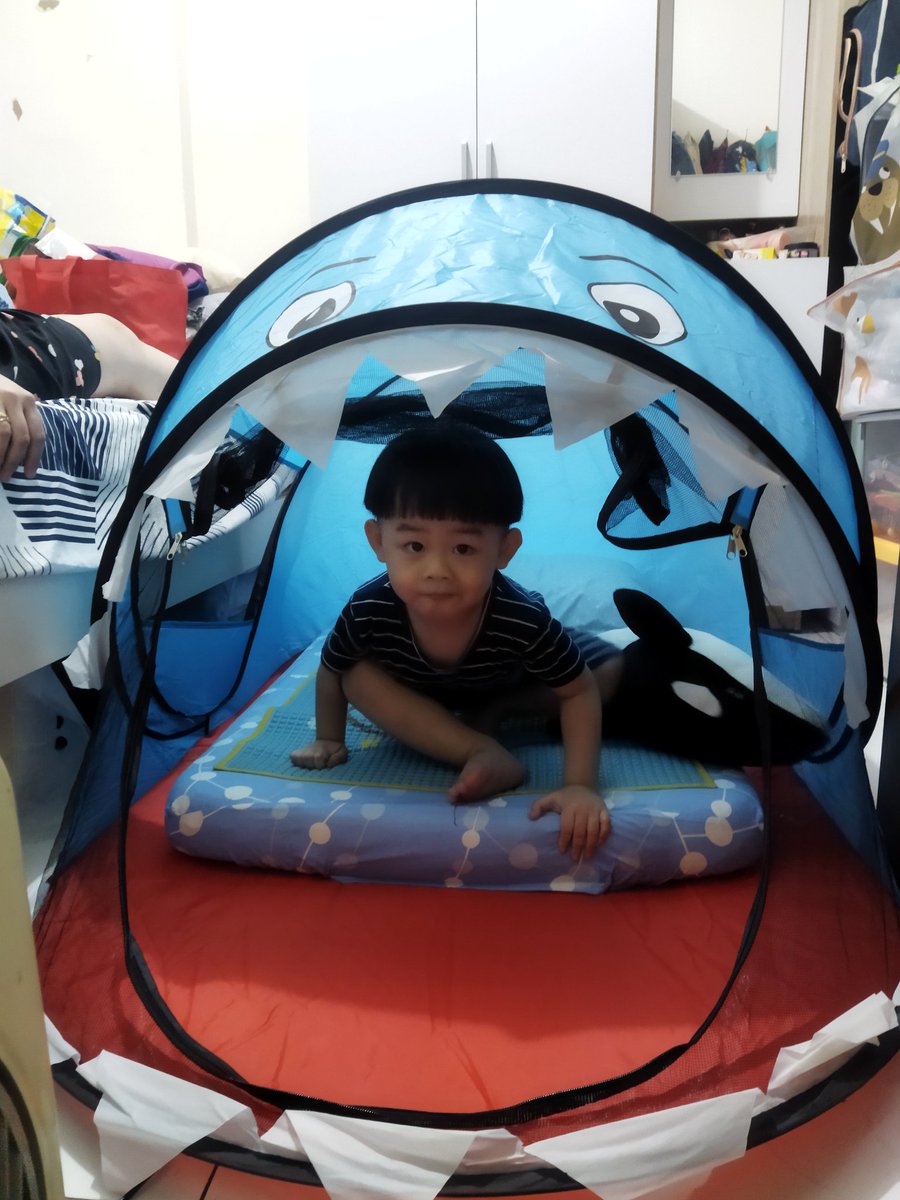 Ada aja rejeki u Sena, mama na bs beli tenda bentuk hiu, ngakalin spy Sena mau bobo lg di kamar bareng2. 

Jd uda 5-6bulan ini Sena ga mo bobo d kamar, minta d ruang tengah, n maksa u papa na nemenin dia bobo  cm pake matras d atas lantai 😮‍💨😮‍💨

Uda semi camping ini seh 😄😄