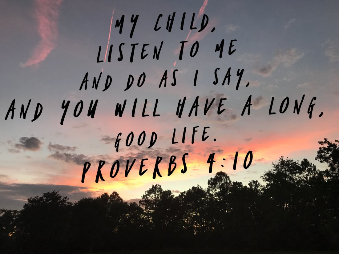 Have a good, long life. #Proverbs #sunset