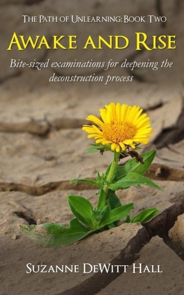 Check out this quote: 'During deconstruction, we begin recognizing…' - 'Awake and Rise:…' by Suzanne DeWitt Hall a.co/bGmS6md
