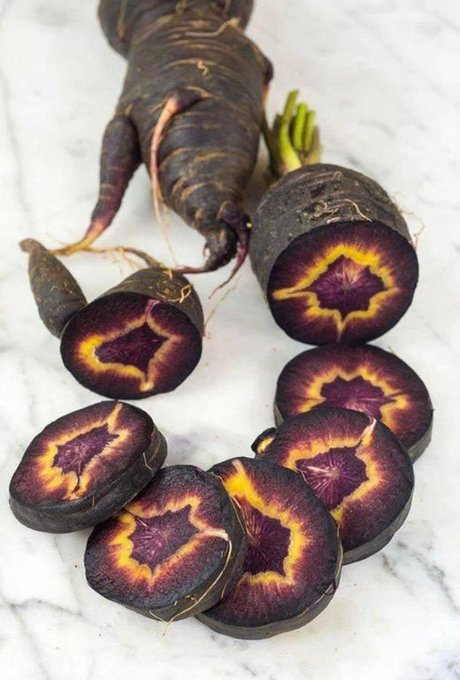 Black Nebula carrots, botanically classified as Daucus carota, are a unique, dark-hued cultivar that belongs to the Apiaceae family. Cut in section, they sometimes uncover beautiful patterns, resembling, in fact, nebulae or Mandelbrot sets.