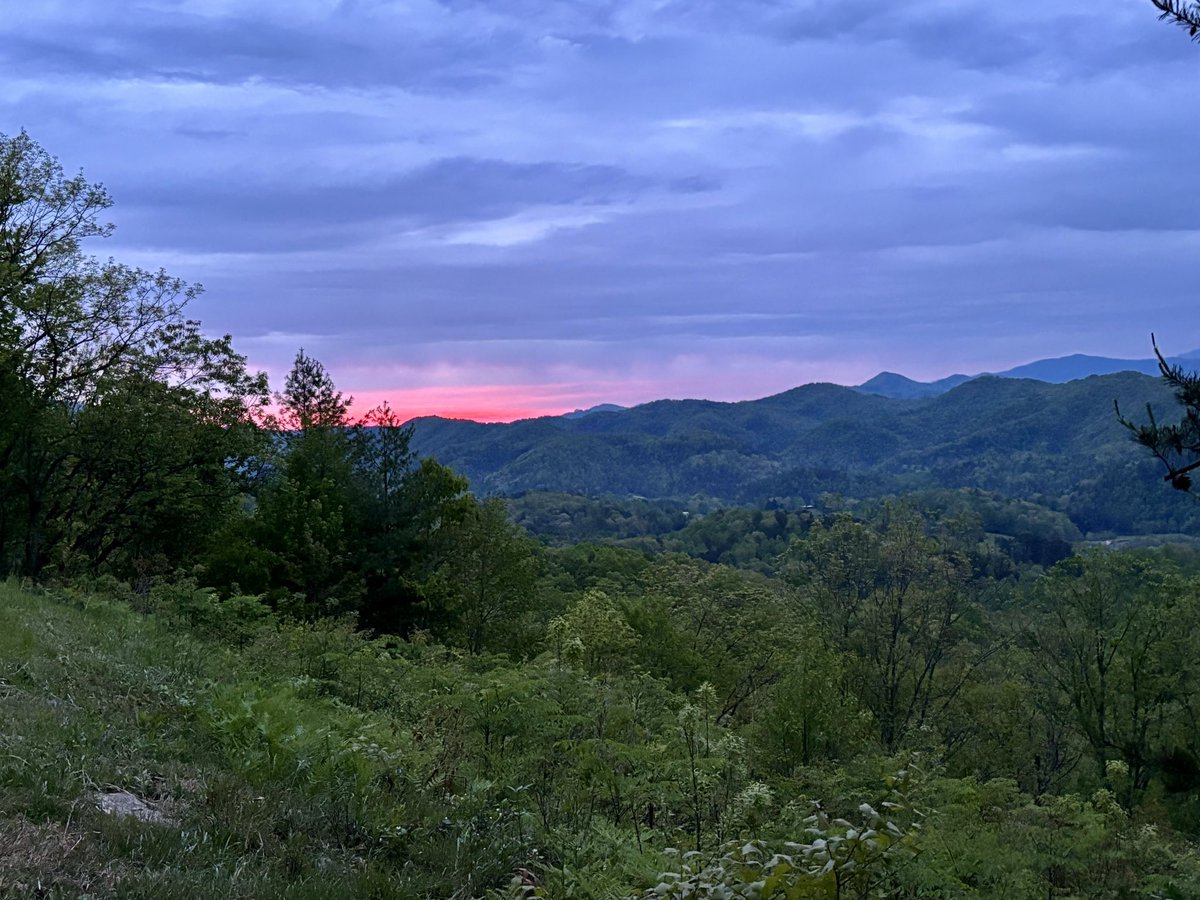 @Dr_Brian_Pet @StormHour @ThePhotoHour @PanoPhotos @naturephotos55 @GlenDunlap_ @Dan_Kinghorn77 @maxeconrad @madbunting @joannpip @Leeanneobrien55 @Toast2Karin @KarinaBee So pretty, Doc! Bright and promising. We had a touch of red/pink and that’s all this morning. It started drizzling on me when I took this and has been raining ever since. Happy Friday!