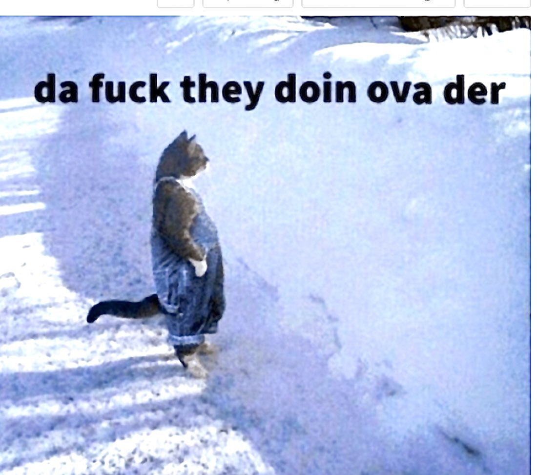 SirStavrosKnows's tweet image. Believe it❗️
Them thar judges are courtesy of 
#TMFT 
While we sit back and do this here