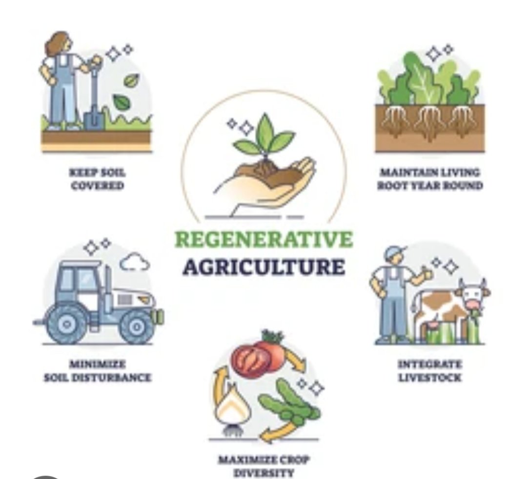 The damage is evident: collapse of biodiversity, soil desertification, water pollution and increase in greenhouse gas emissions. Agroecology seeks positive interactions between plants, animals, humans and the environment. Action now: savesoil.org #ConsciousPlanet