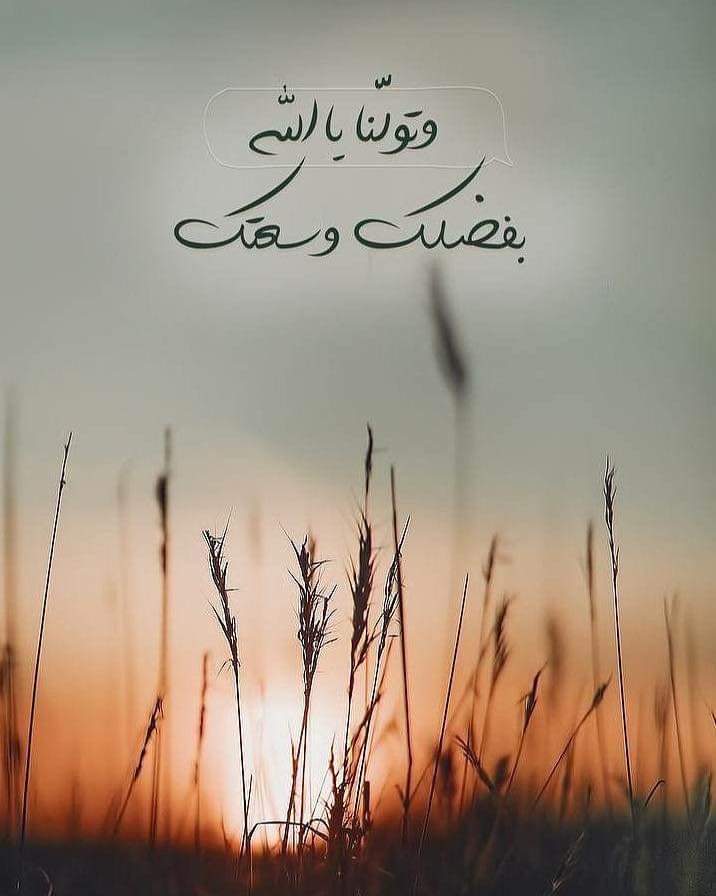 🍃 ٱجر ۆ مڎۈڊﮧ 🍃 tweet media