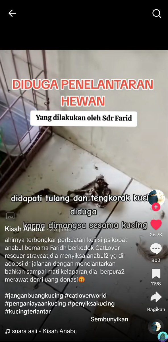 💚 TW // ANIMAL ABUSE 

 COK SAKIT BANGET ANJRR LIATNYA, KUCING SEBANYAK ITU GA DI URUS GA DIKASIH MAKAN PADAHAL MAKANANNYA ADA. GILA LU FARID 😭😭😑