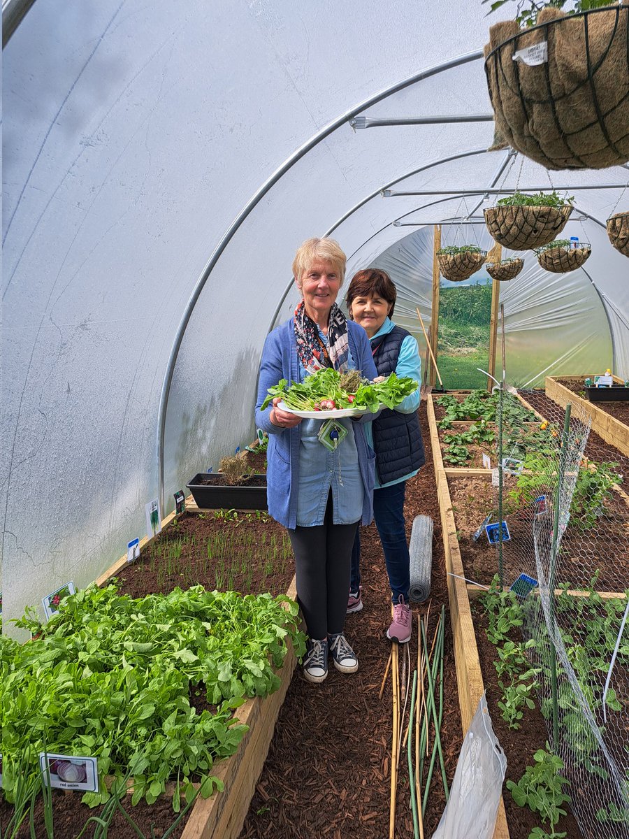 Our first delivery to @thecottagelmore was made today. Lettuce, baby radish, and some fresh herbs. We sang a few tunes also. #LoveLocal #Sustainability