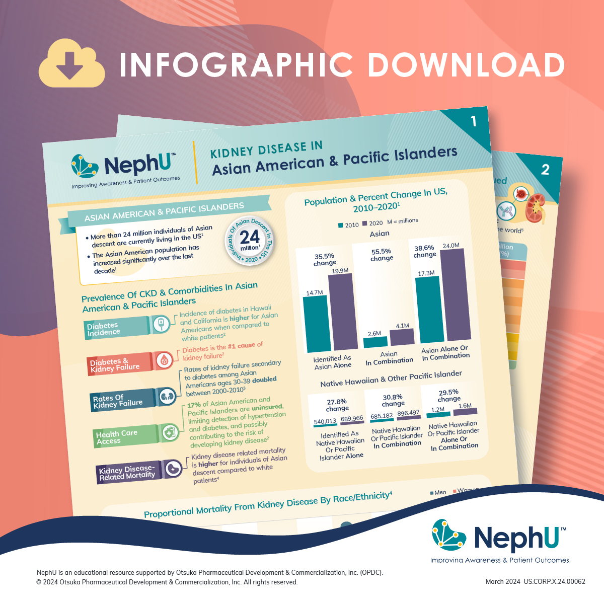 In the infographic from NephU, 'Kidney Disease In Asian American & Pacific Islanders,' you can find breakdowns of disease prevalence, access to care, and more patients of Asian descent. go.nephu.org/MCNi #AsianAmerican #PacificIslander #KidneyHealth #KidneyFailure #Diabetes