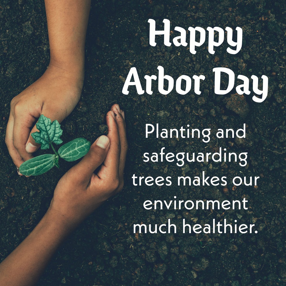 It’s National Arbor Day! We must safeguard the existing trees in our city and plant new ones. It's good for the environment and our health.