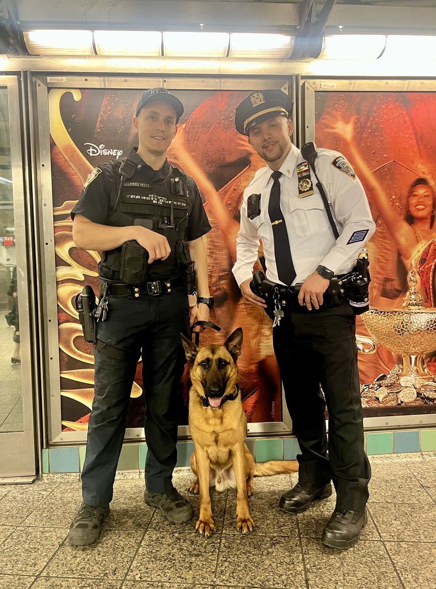 Behind every police canine is a story worth telling and retelling. On patrol inside the Times Square station is K9 Rett - a shepherd & malinois mix who honors the memory of Officer Sean McDonald, and like all his fellow 4-legged members, embodies our promise to never forget.