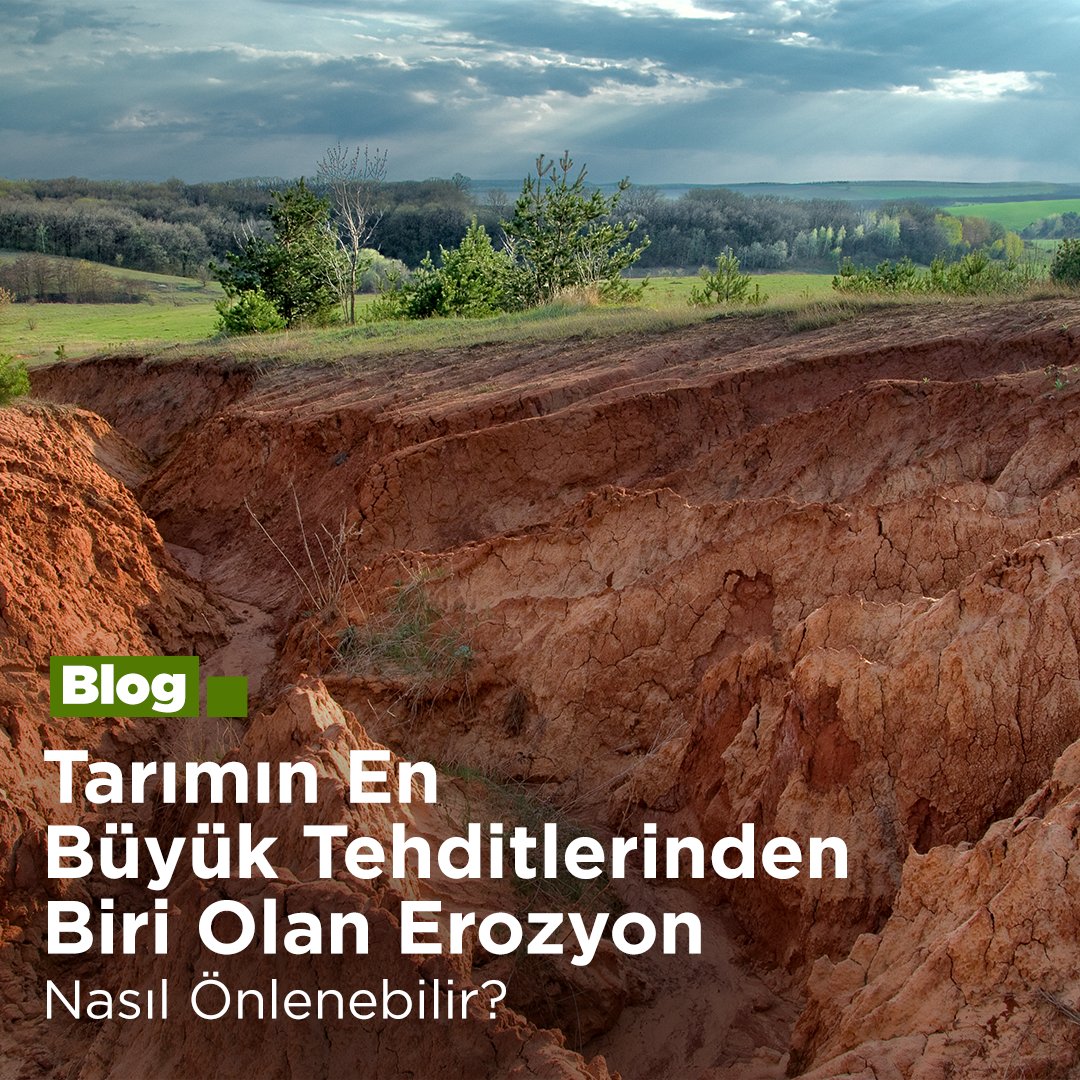Tarım arazilerinin en büyük tehditlerinden biri olan erozyon ile nasıl mücadele edilir?  🌱

Erozyon nedir? Nasıl önlenebilir? Hepsinin cevabı blog yazımızda. 👇

hektas.com.tr/erozyon-nedir/

#Erozyon #DoğalAfet