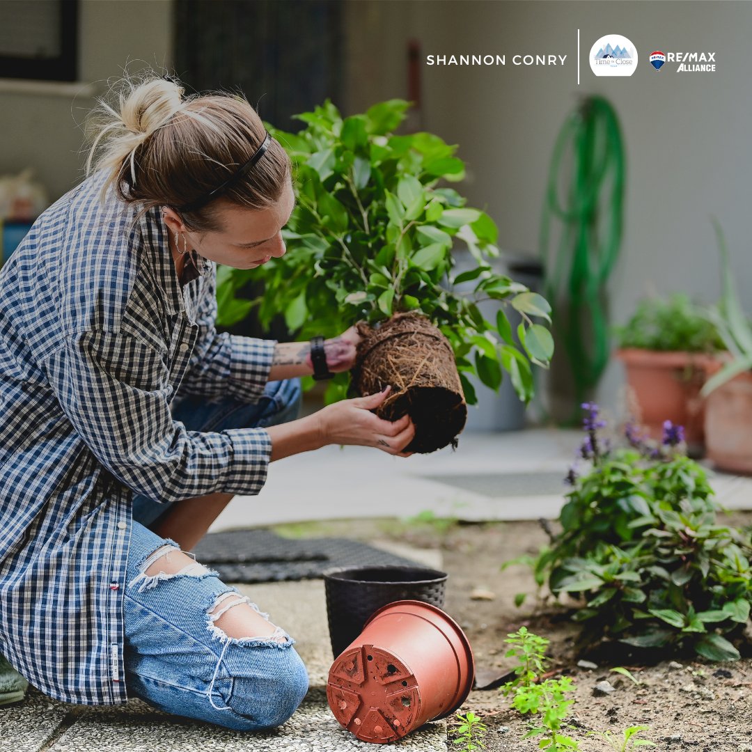 As the battle between winter and summer continues, gardeners can finally get back outside on some sunny days. Mark your calendar to get these gardening to-do’s done in your yard and garden:
homesincolorado.com/blog/preparing…
.
#gardengoals #springgardening #springplanting #bloomingseason