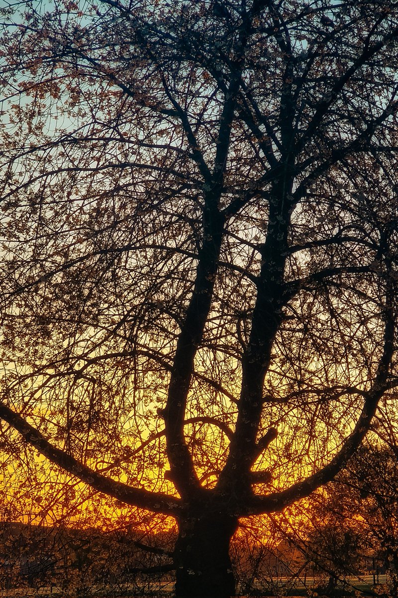 A beautiful morning in Barnoldswick. @ThePhotoHour @bbcweather @CravenHerald @lancstelegraph @lancashirelife @CountryfileMag @LPW_Podcast_ @LandscapeMag @OPOTY @kerriegosneyTV @EmmanuelleLhoni @ChrisPage90