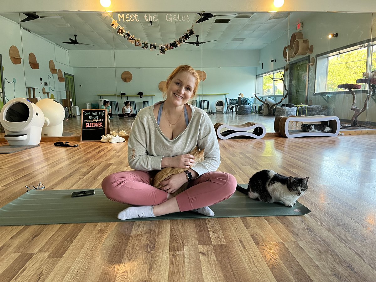 At last, the weekend is here! It’s time for yoga with cats. Join the fabulous Whit on the mat tonight at 6pm or Caturday at 9:45am for a relaxing yin yoga class. Book meow at elgatocoffeehouse.com/yoga-with-cats #yogawithcats #cattherapy #houstoncatcafe #adoptdontshop #houstontx #catcafe