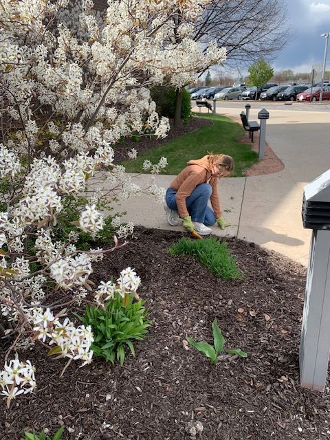 Members of Rho Kappa used their time and talents to beautify the entryway garden beds at GHS.  They weeded, raked, and tidied up the space to allow spring beauty to bloom! #rhokappa #hawksflyhigh #hustlinhawks #bloom