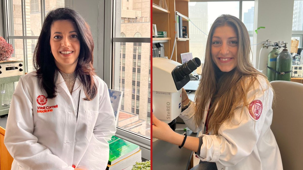 A new way to activate a type of molecule in blood vessels may hold potential as a treatment strategy for coronary artery disease, according to findings from Dr. Annarita Di Lorenzo (@ar_dilorenzo) and Dr. Onorina Laura Manzo (@ManzoNory) of @WCMCPathology. bit.ly/3w9ZFE4