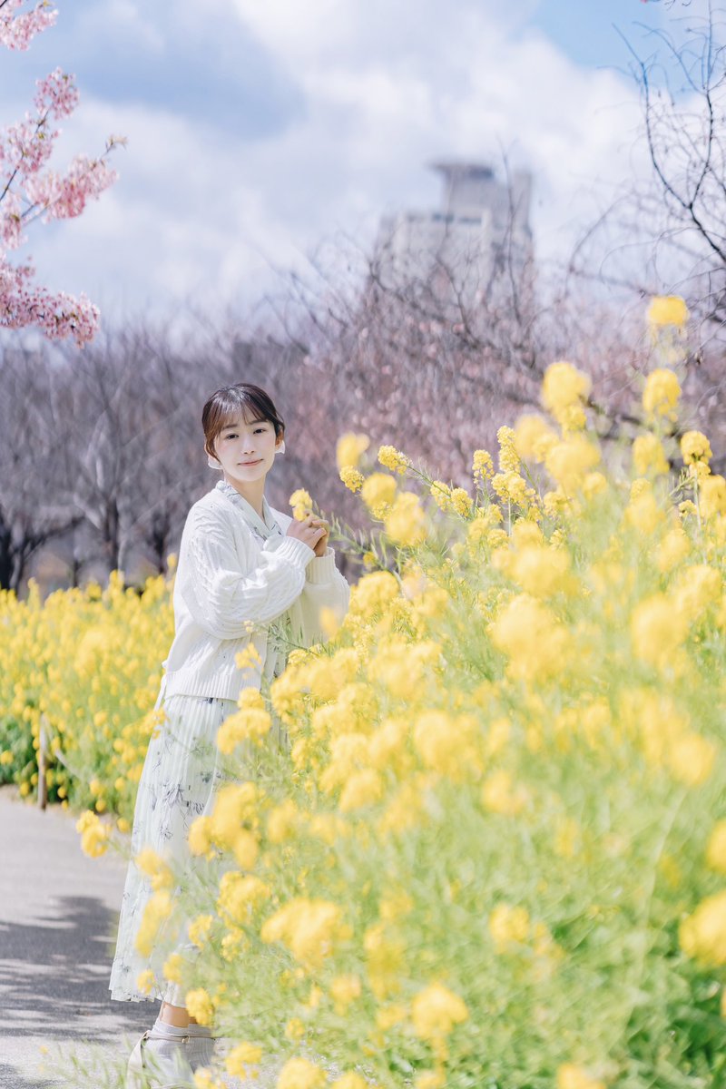 陽菜の菜は菜の花の菜。