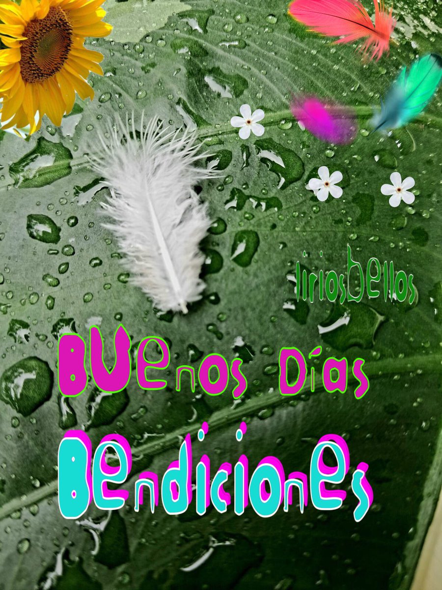 #Buenos Días 
#Bendiciones
🥰🤍💚
#buenosdias 
#bendiciones
#byliriosbellos 
#spiritualart