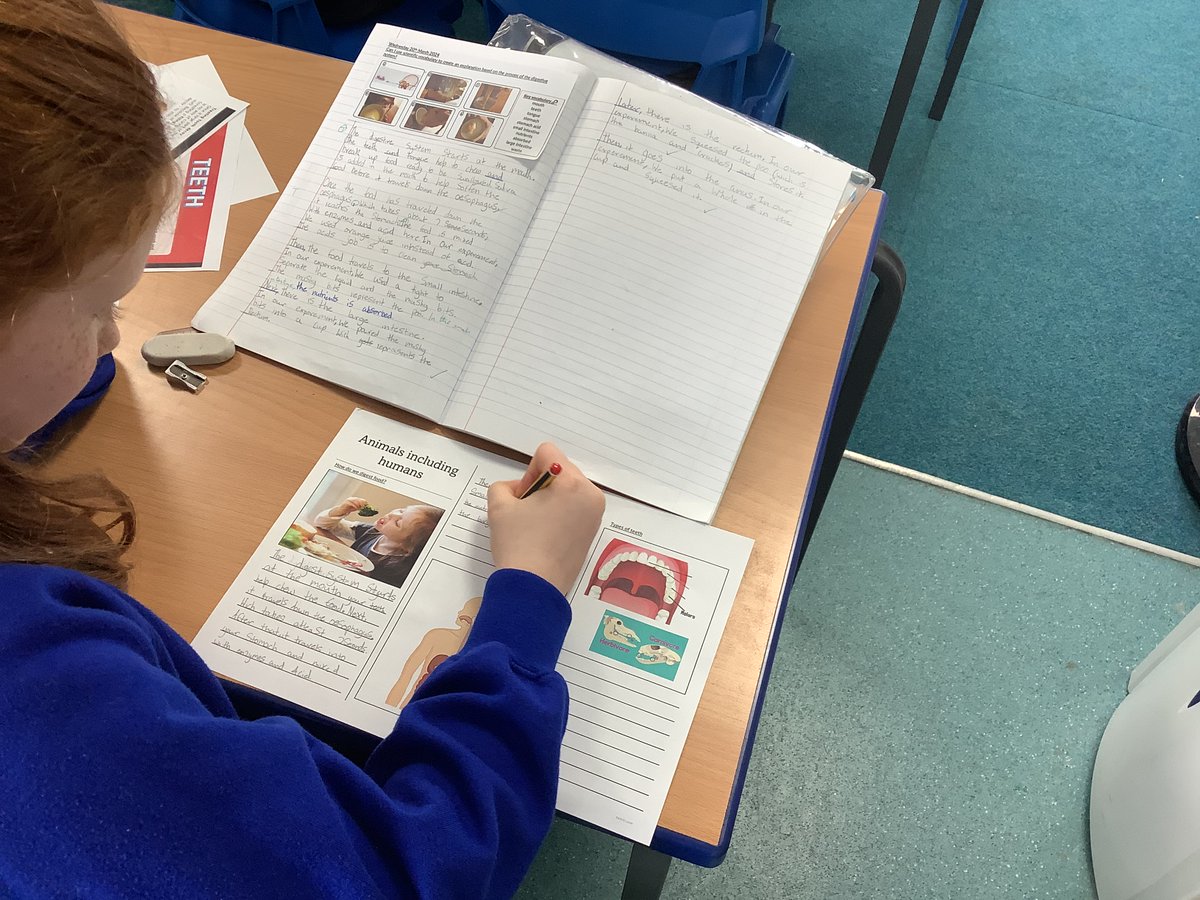Year 4 have been recapping and reviewing their fantastic learning about the digestive system and teeth by producing detailed information leaflets! @sfsmtweets